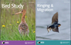 BIRD STUDY雜志封面